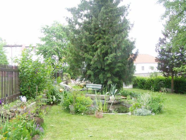 Penzion U Pešků Horní Planá Esterno foto