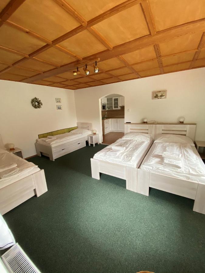 Penzion U Pešků Horní Planá Esterno foto