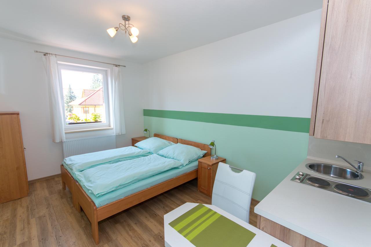 Penzion U Pešků Horní Planá Esterno foto