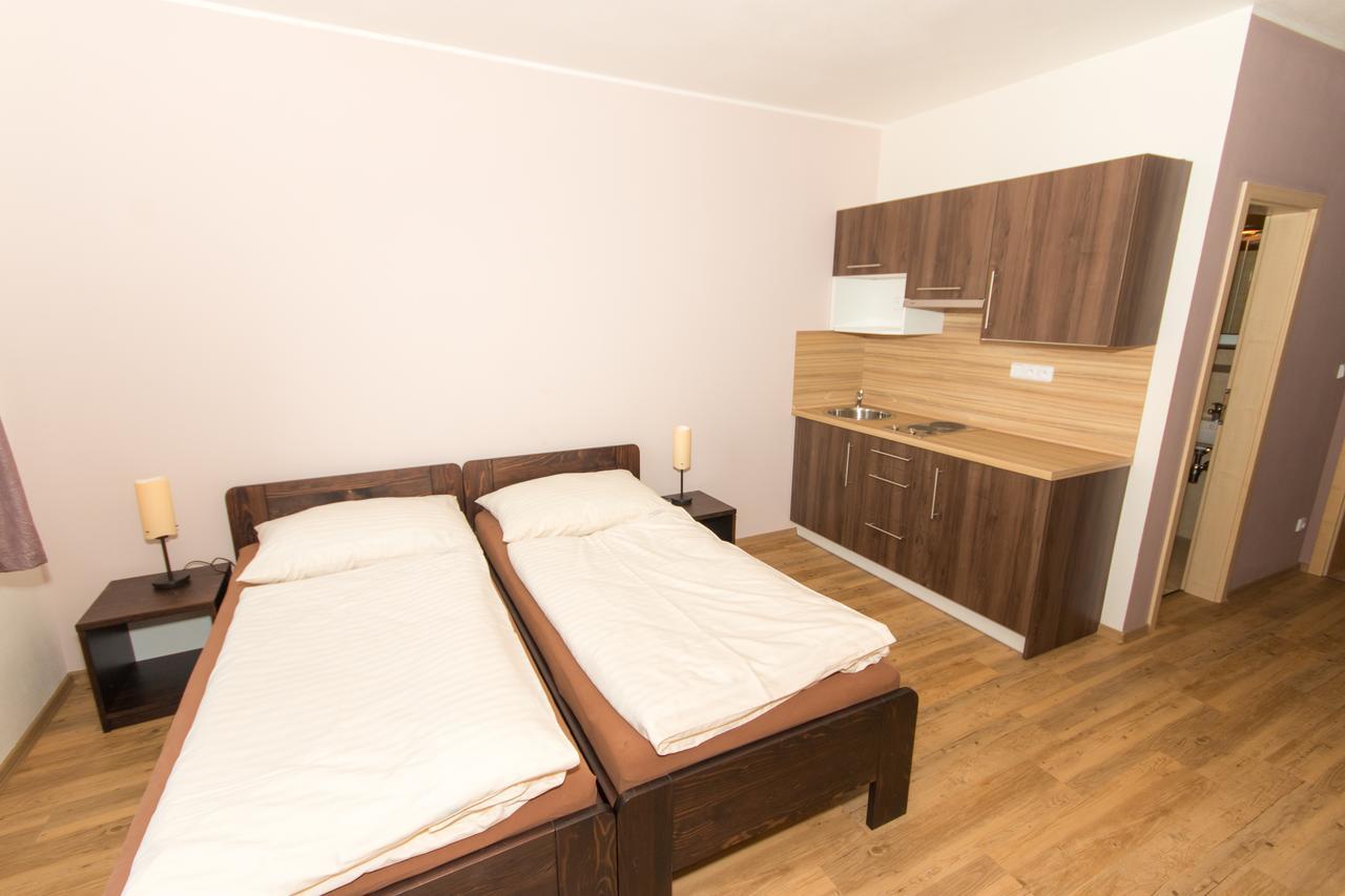 Penzion U Pešků Horní Planá Esterno foto